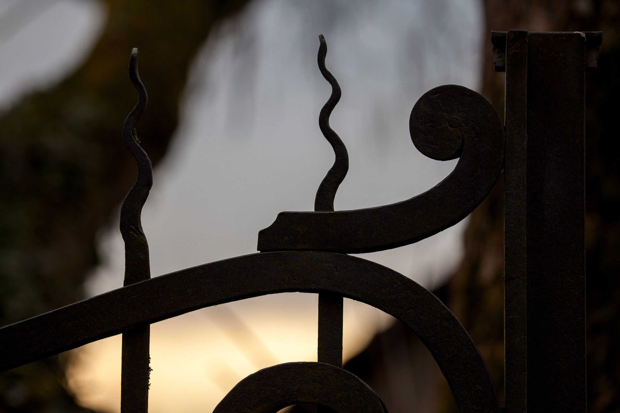 20110313133830 IMG 7281